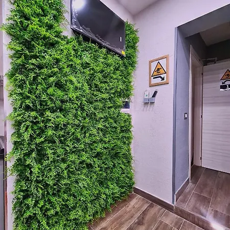 Apartment Focus *